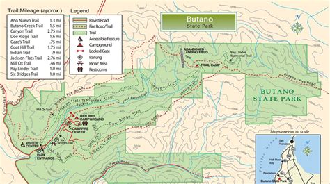 Butano State Park trail map - Frog Mom