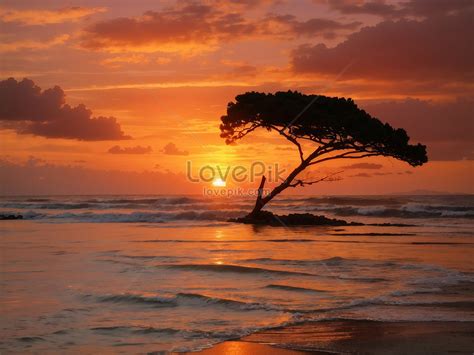 Nature Sunset Clouds Picture And HD Photos | Free Download On Lovepik