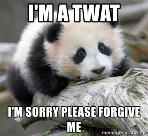 20 Forgive Me Memes That'll Show How Sorry You Are | SayingImages.com