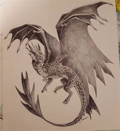 Dragon Drawing Sketch