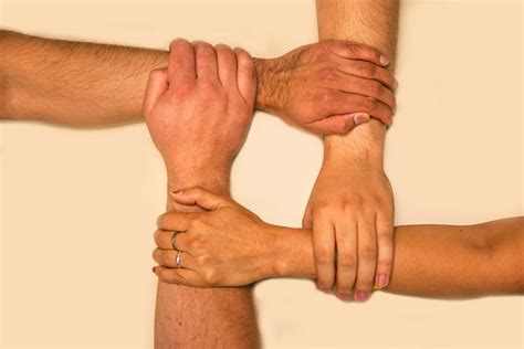 People's Hands Holding Each Other · Free Stock Photo