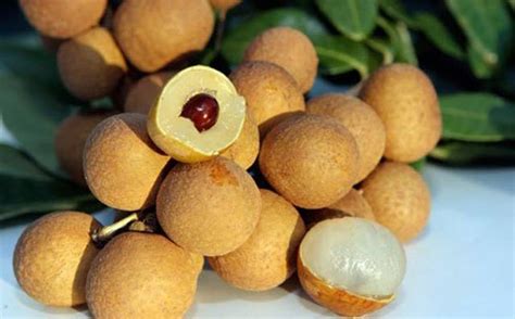 Health benefits of longan | Vinmec