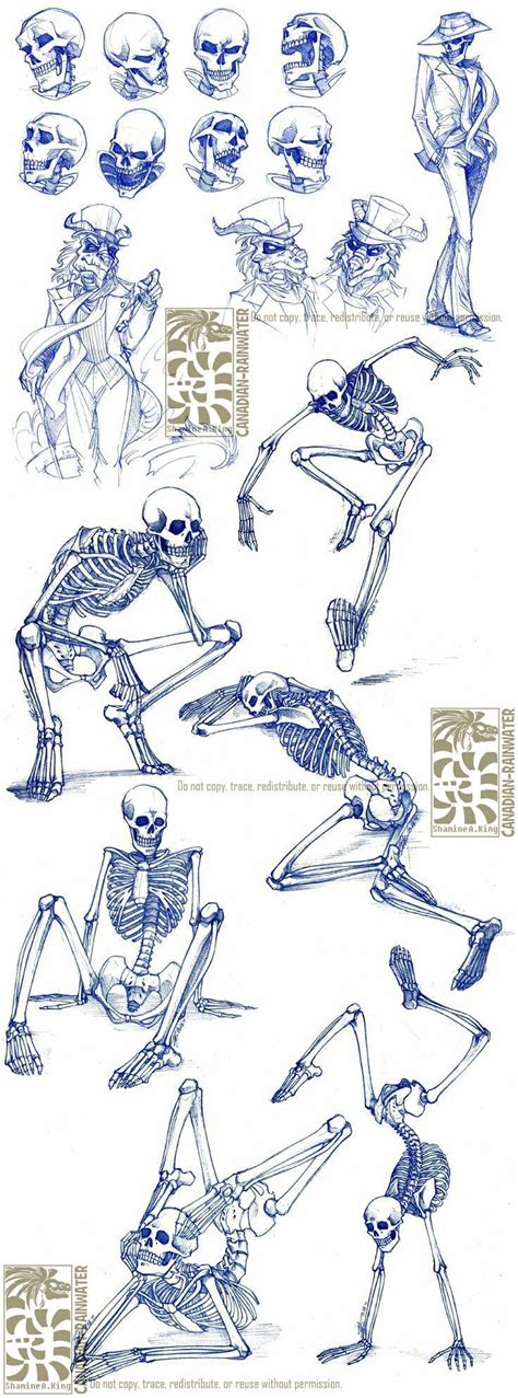 skeleton poses | Drawings, Anatomy art, Art reference