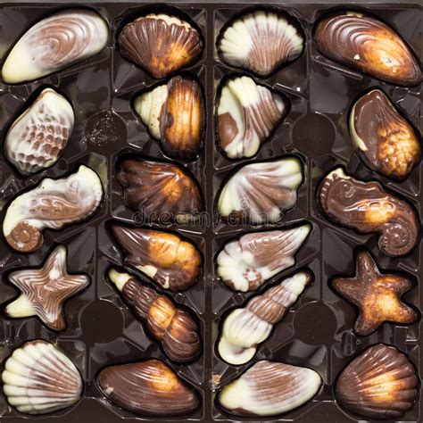 Belgian Chocolate Pralines Set in Box Stock Photo - Image of confection, candy: 48516904