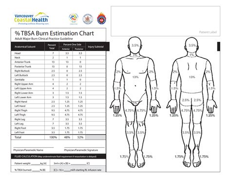 Burn Estimation Chart