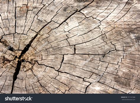 Old Wood Background Texture Wallpaper Stock Photo 571741588 | Shutterstock