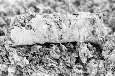 Cigarette ash stock image. Image of nicotine, macro, unhealthy - 29090419