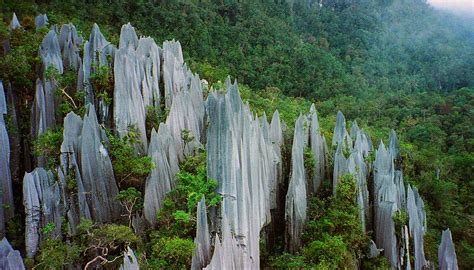 Pinnacles at Mulu, Gunung Mulu National Park, Borneo | Flickr