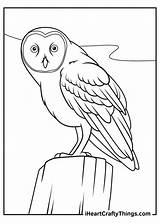 15 Realistic Animals Coloring Pages 100% Free Printables sketch template
