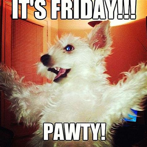 37 Friday Party Meme That Make You Smile - Picss Mine