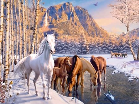 Winter horses - Horses & Animals Background Wallpapers on Desktop Nexus (Image 2521206)