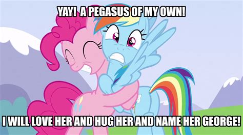 Rainbow Dash Meme - Rainbow Dash Photo (37372084) - Fanpop