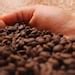 Organic Vietnam Robusta Coffee Beans 100% Natural Collected by Viet Highland Farmers Vietnam ...