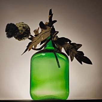 Free Images : branch, plant, leaf, flower, petal, vase, green, lighting, leafe, product, art ...