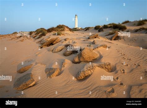 Cape Trafalgar lighthouse among the sand dunes, Los Canos de Meca ...