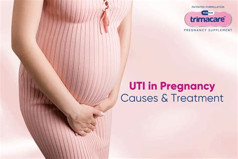 UTI Symptoms Complications and Treatment in Pregnancy | Plusplus Lifesciences