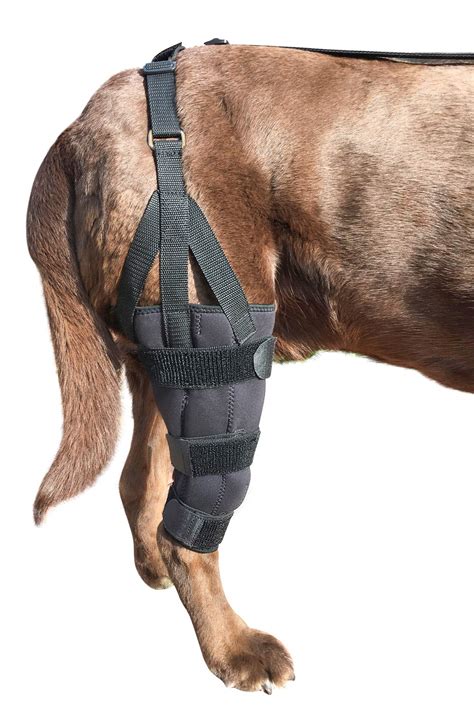 Buy Labra Dog Canine Knee Stifle Brace Wrap, Metal Splint Hinged ...