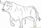 Bull Ready For Fighting Coloring Page Kids  Free Printable sketch template