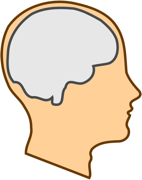 Empty Brain Clipart Image