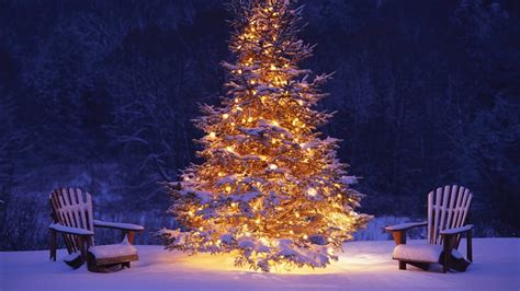 🔥 [40+] Christmas Tree Snow Wallpapers | WallpaperSafari