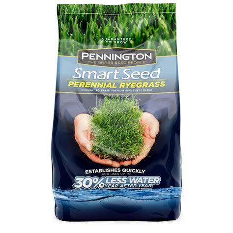 Pennington Smart Seed Perennial Ryegrass Grass Seed; 3 lb. Covers up to 750 sq. ft. - Walmart.com