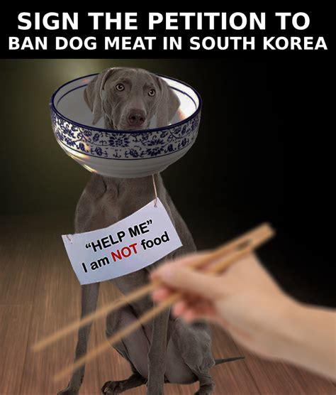 Sign the petition to ban dog meat in South Korea! - 世界愛犬聯盟