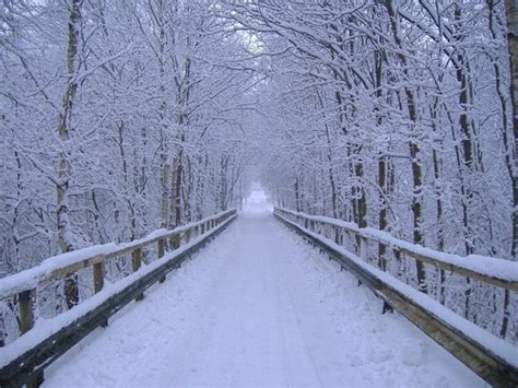 winter scenes - Bing Images | Winter scenery, Winter landscape, Beautiful winter scenes