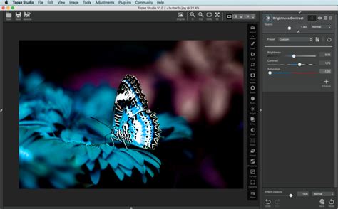 How to Use the Brightness Contrast Adjustment – Topaz Labs