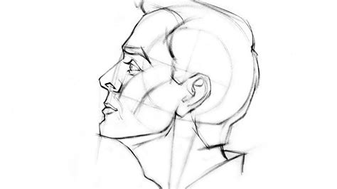 Male face side view Drawing Reference and Sketches for Artists