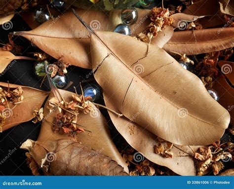 Dry leaves background stock photo. Image of texture, dead - 33861006