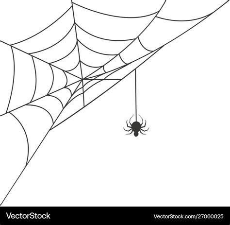 Spider web in corner with a hanging spider Vector Image