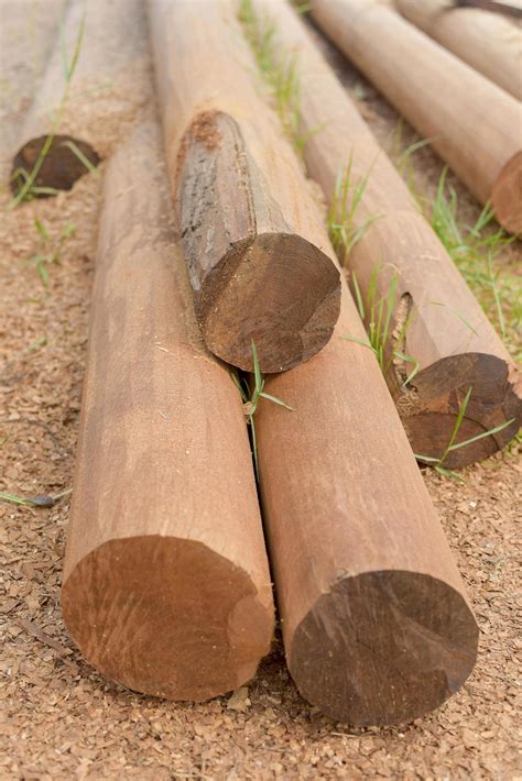 Wood pole for building structure 2629746 Stock Photo at Vecteezy