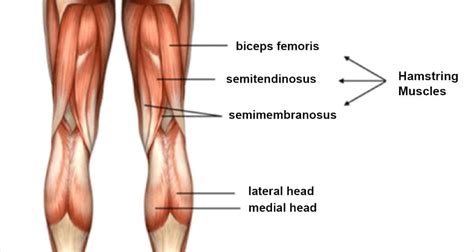 The Importance of Hamstring Flexibility in Your Golf Swing | Golf Performance Center