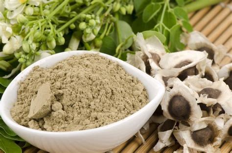 16 Amazing Health Benefits of Moringa Seeds