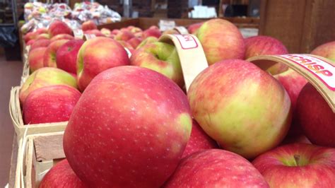 Patterson Fruit Farm temporarily closes apple picking | wkyc.com