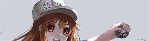 Cells At Work - Platelet-chan & White Blood Cell HD wallpaper download