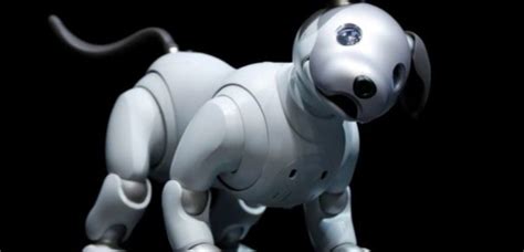 7 Best Robot Dogs Toys Thats Your Kids Will Love In 2024