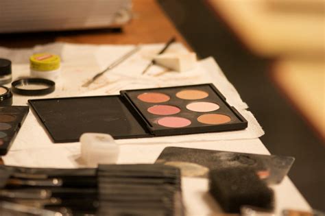 Makeup Blush Kit Free Stock Photo - Public Domain Pictures