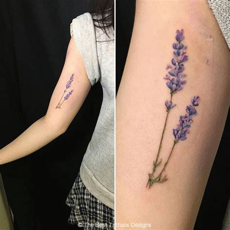 girls biceps lavender tattoo tumblr | Lavender tattoo, Trendy tattoos, Ink tattoo