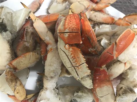 Dungeness Crab Legs | Wild Caught | Organic Ocean