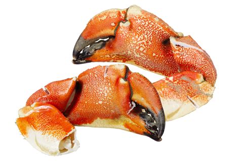 Jonah Crab Claws l Jonah Crab Claws Near Me l All Fresh Seafood