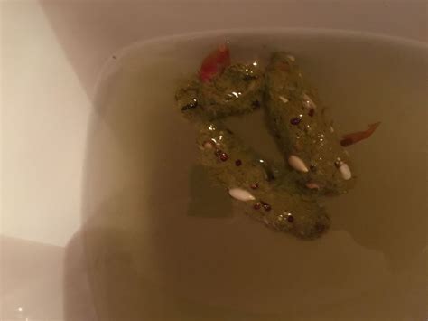 Do Worms Make Your Poop Smell at Barbara McCleery blog