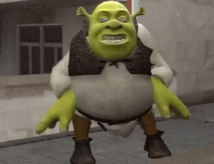 Funny Shrek Memes GIF
