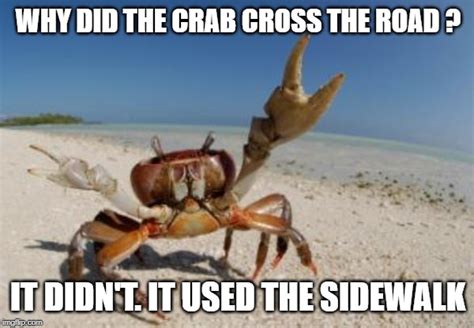 crab - Imgflip