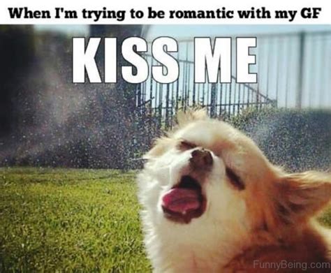 31 Most Funny Romantic Memes