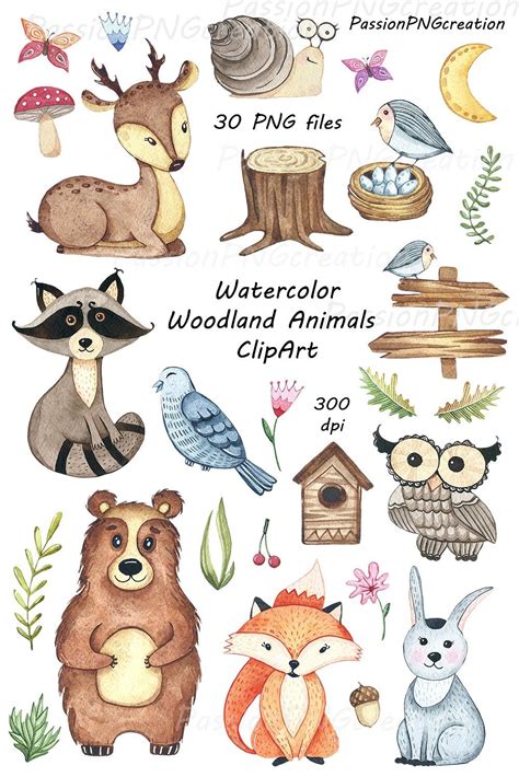 Watercolor woodland Animals ClipArt | Forest animals illustration, Animal clipart, Woodland animals