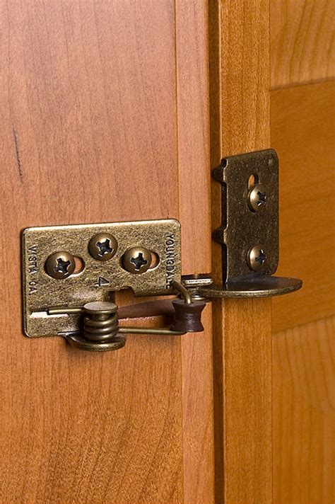 Concealed Hinges For Lipped Cabinet Doors | Cabinets Matttroy