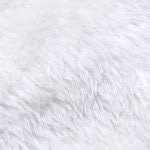 White fur texture — Stock Photo © ccat82 #19951175