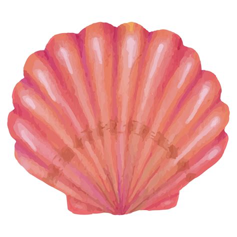 Shell Underwater Clip art Element Transparent Background 24398467 PNG