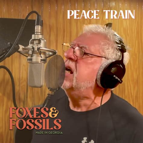 Peace Train – Yusuf/Cat Stevens Cover | Foxes and Fossils®